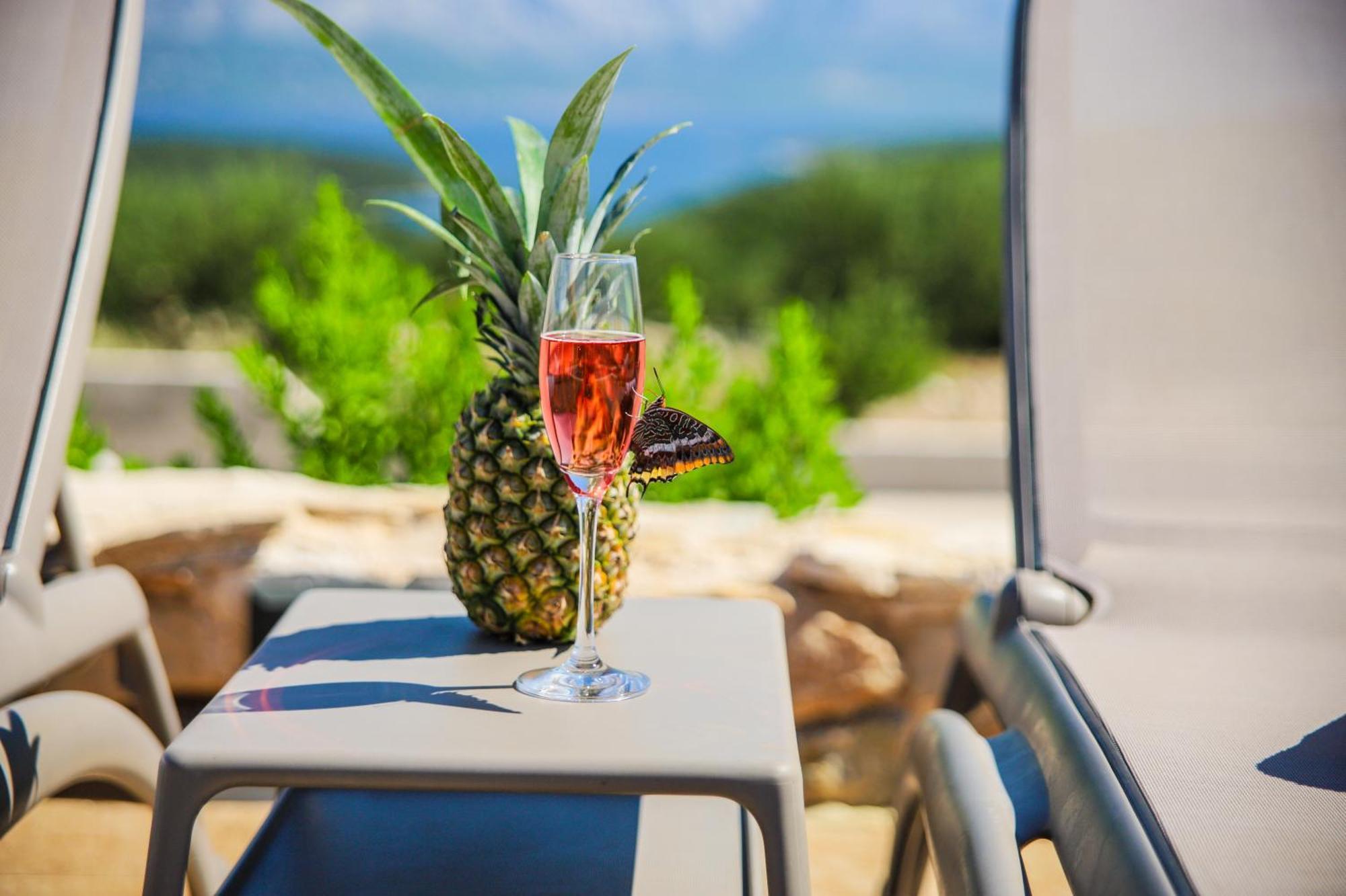 Luxus App Rubin Mit Traumblick Pool Balkon Lift Makarska